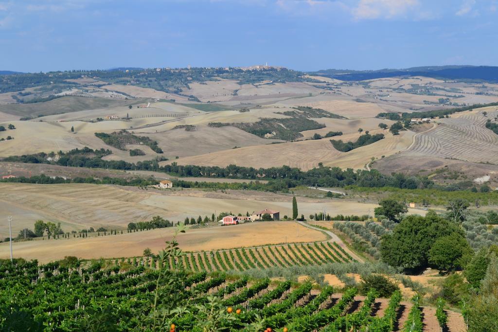 Agriturismo La Disperata Villa San Quirico d'Orcia Bilik gambar
